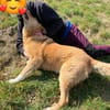 Verschmuster Wirbelwind Tobi