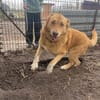 Verschmuster Wirbelwind Tobi