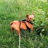 Miss Marple sucht Menschen mit Herz