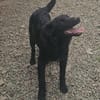 SAMMY - black is  beautyful