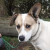 LUKULO sucht Familie