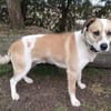 LUKULO sucht Familie
