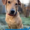 Clementine - Blondine sucht Aktive