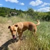 DARYL, lustig und verspielt