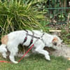 Super-Lotti ist genial