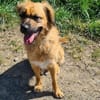 CORA sucht ihre kinderlose Oase