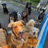 Kasper - suche Führungskraft