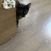 Daisy, mit mir kommt Freude ins Haus