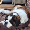 Gestatten Schröder mein Name