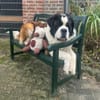 Gestatten Schröder mein Name