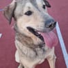 COOKIE SUCHT ERFAHRENE MENSCHEN