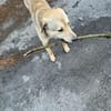 COOKIE SUCHT ERFAHRENE MENSCHEN