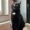 Marty - verspielt, neugierig, sozial