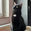 Marty - verspielt, neugierig, sozial