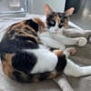 Donna - knuffig und sozial