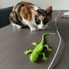 Donna - knuffig und sozial
