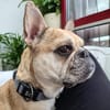 Rosie will endlich ankommen