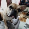 Rosie will endlich ankommen