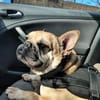 Rosie will endlich ankommen