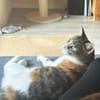 Lotta - hat Schlimmes durchgemacht
