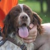 Freddy - geduldige Menschen gesucht