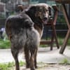 Zauberhafte Mona sucht Ihr Zuhause
