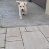 Lumi