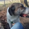 Gilbert wartet schon auf dich