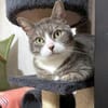 MARA - kleine Katze, große Chefin