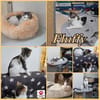 Lieber Paco sucht Zuhause mit Fluffy