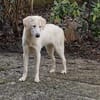 Möchtet ihr unser Elfchen Taina besuchen