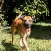Pablo - ein Sonnenschein