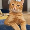 Lenny & Sunny suchen gemeinsam ihr Für-