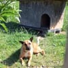 Creo sucht sein Traumzuhause