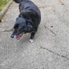 Jacky der Schmuser