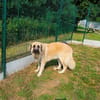 VINDALOO QCN (réservée)
