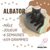 ALBATOR