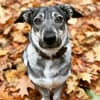 Kleine Svea sucht neues Zuhause