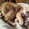 Foxy und Monty suchen zusammen