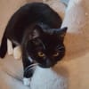 NALA & MUMPITZ suchen ein Zuhause