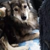 BRANCO - Couchkuscheln ist sooo schön