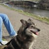 BRANCO - Couchkuscheln ist sooo schön