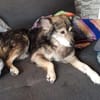 BRANCO - Couchkuscheln ist sooo schön