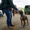 Asia, bewegungsfreudig, sozial, offen