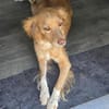 MADITA - Herz aus GOLD, lieb,verschmust