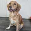 MADITA - Herz aus GOLD, lieb,verschmust