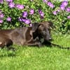 SAMI- KLEINER SONNENSCHEIN