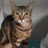 SAM (en cours d'adoption)