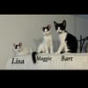 LISA, BART et MAGGIE