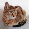 Dringender Notfall: Crunchy und Cimba